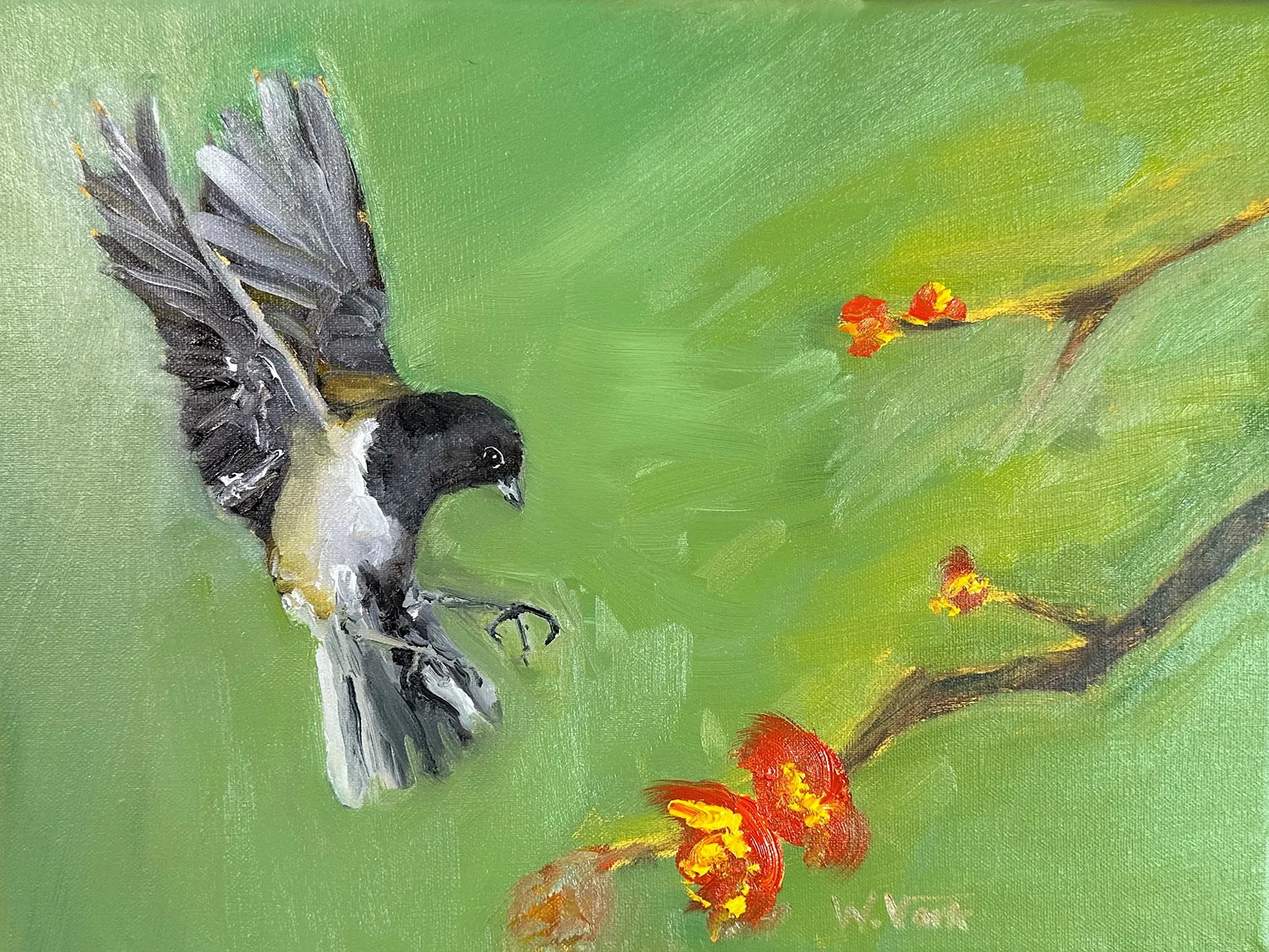A small dark-eyed junco swoops down from the left to perched on a blossoming branch against a warm spring field.