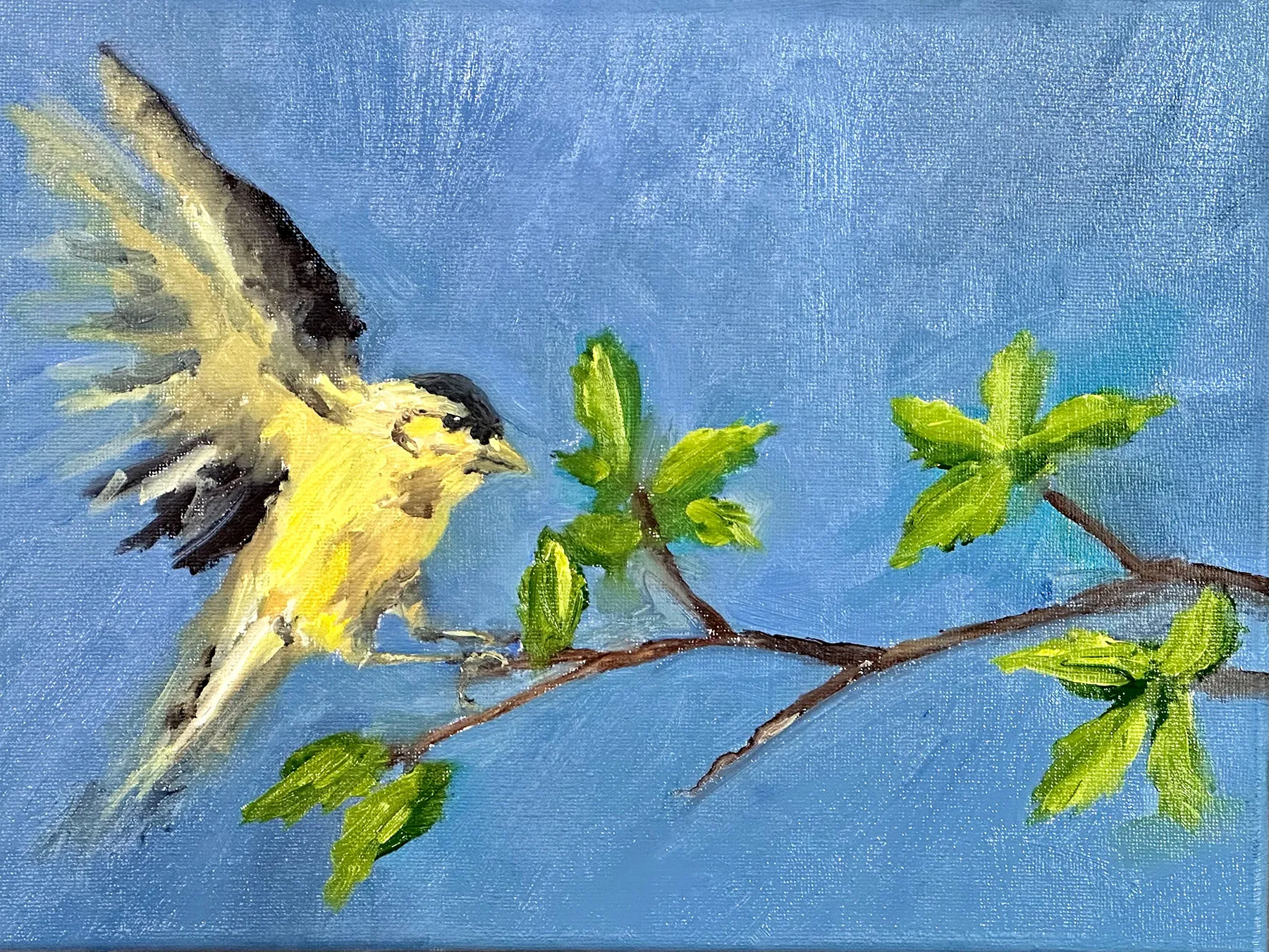A small yellow bird swoops down from the left to perched on a verdant branch against a warm summer field.