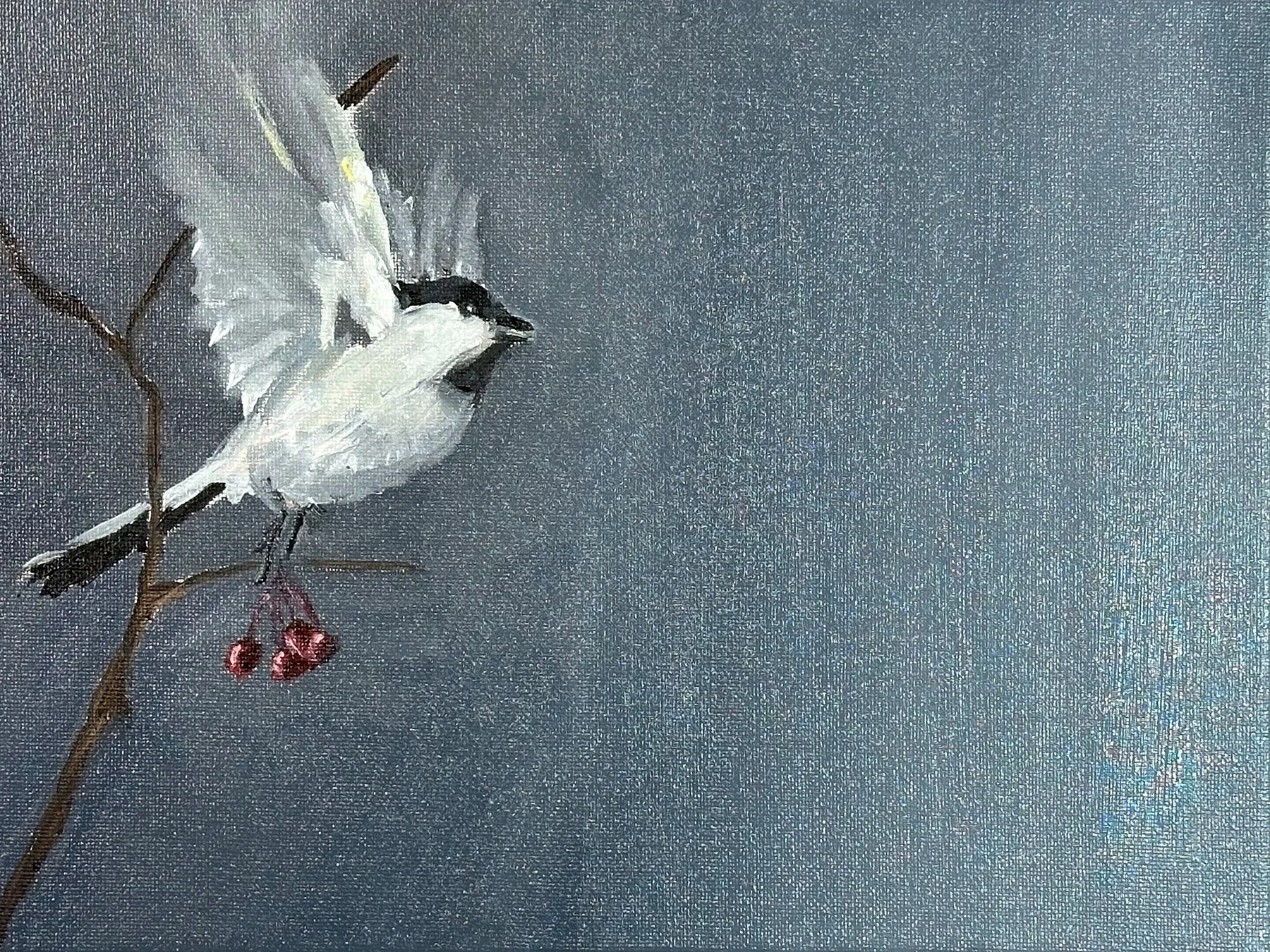 A small chickadee leaping to the hope of spring against a cold winter field of grey.