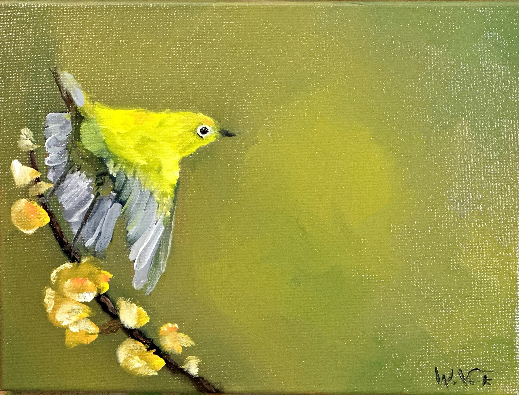 A small white-eyed bird perched among blossoms against a warm summer field.
