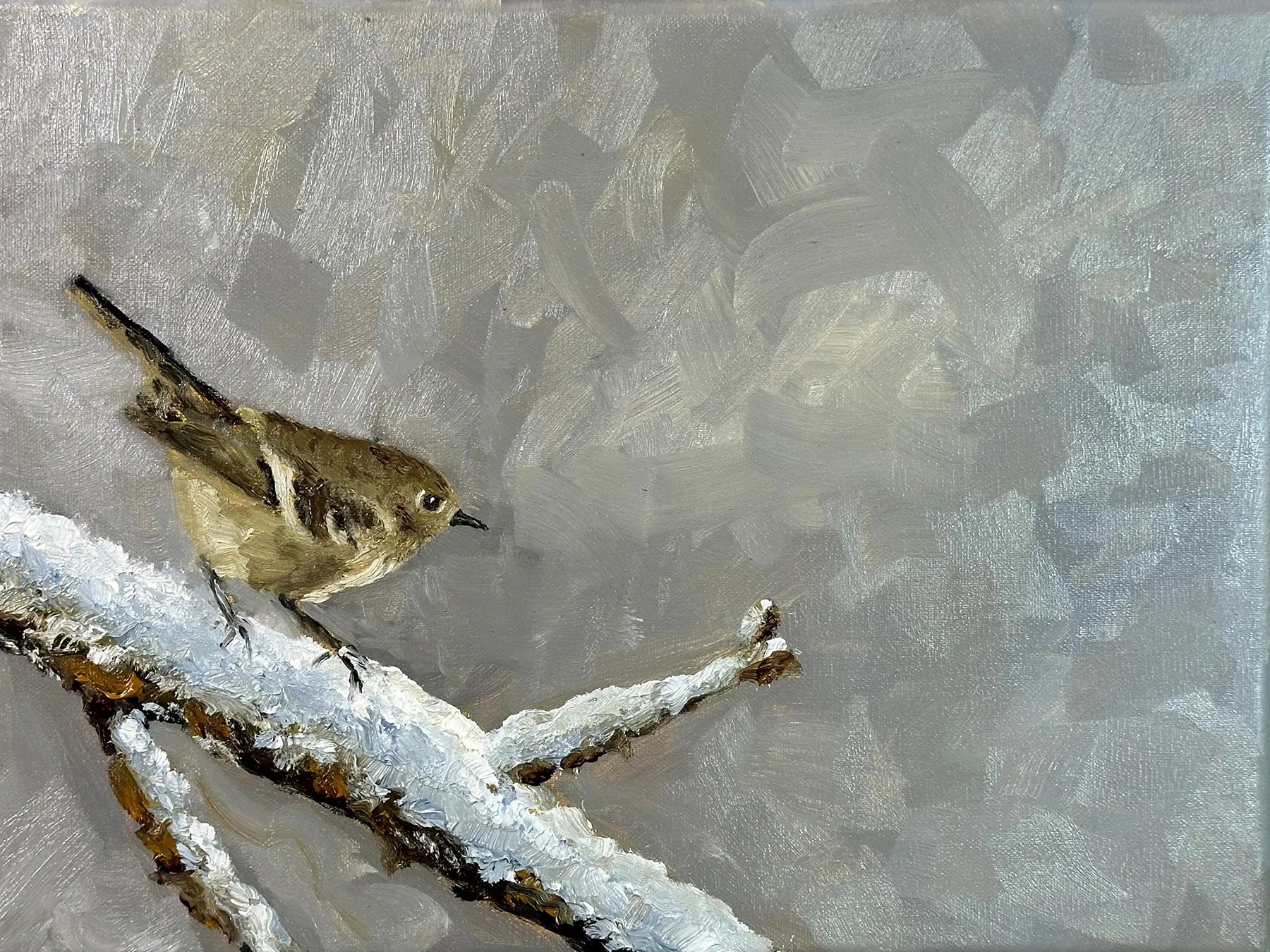 A small kinglet positioned on the left side of a quiet grey field, with open space extending to the right.