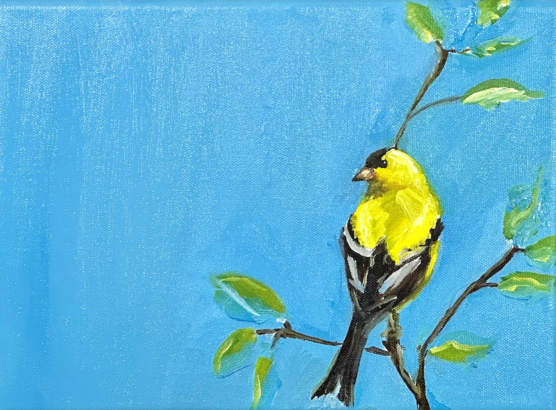 A small goldfinch positioned on the right side of a warn blue field, with open space extending to the right.