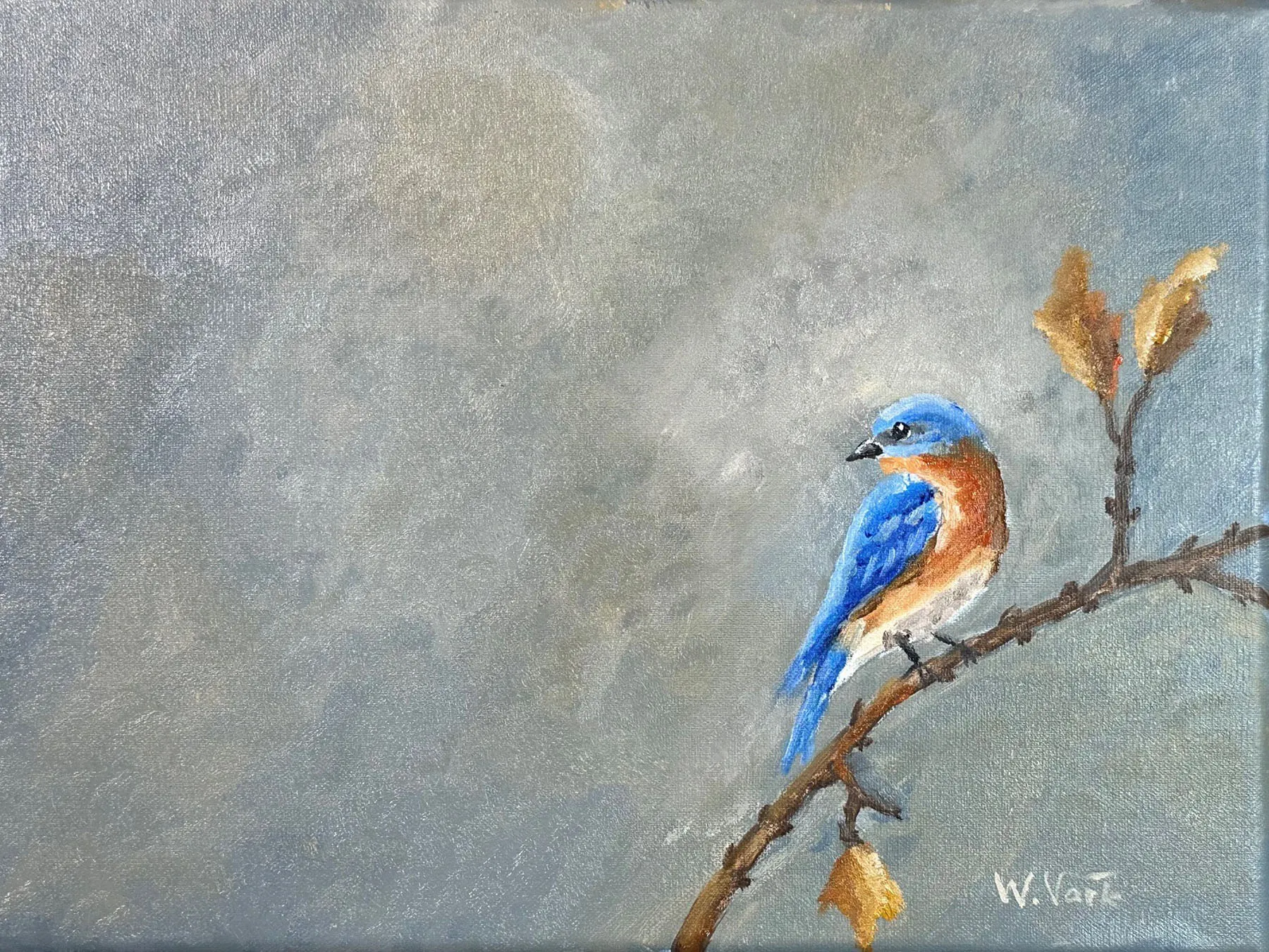 A small eastern bluebird positioned on the right side of a quiet greyish blue field, with open space extending to the right.