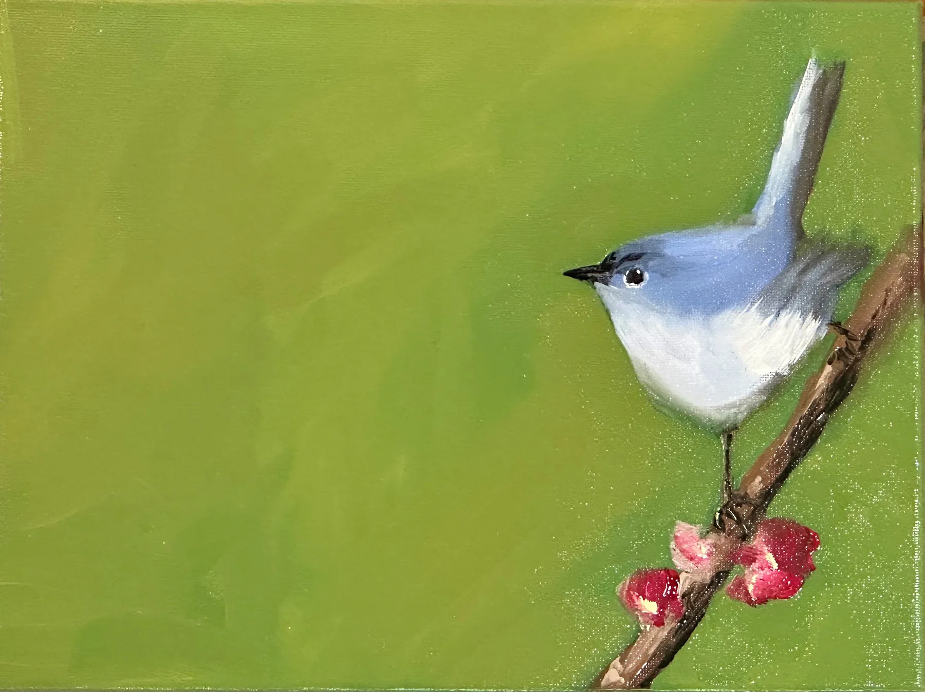 A small bird positioned on the left side of a quiet green field, with open space extending to the right.